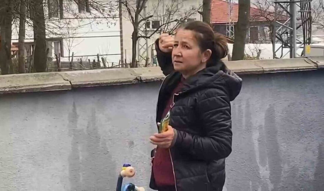 Bartın’da bir yavru kedi mahsur kaldığı ağaçta bir haftadır kurtarılmayı