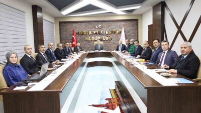 Ağrı Valisi Önder Bozkurt, Eleşkirt ilçesinde yürütülen çalışmaları yerinde inceledi.