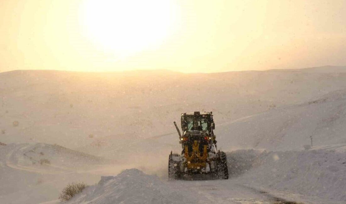 Ağrı Valiliği koordinesinde İl Özel İdaresi ekiplerince, kent genelinde etkili