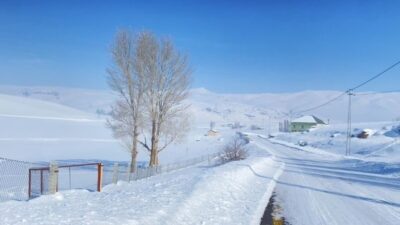 Ağrı’nın Patnos ilçesine bağlı Aşağı Göçmez köyü, etkili olan kar