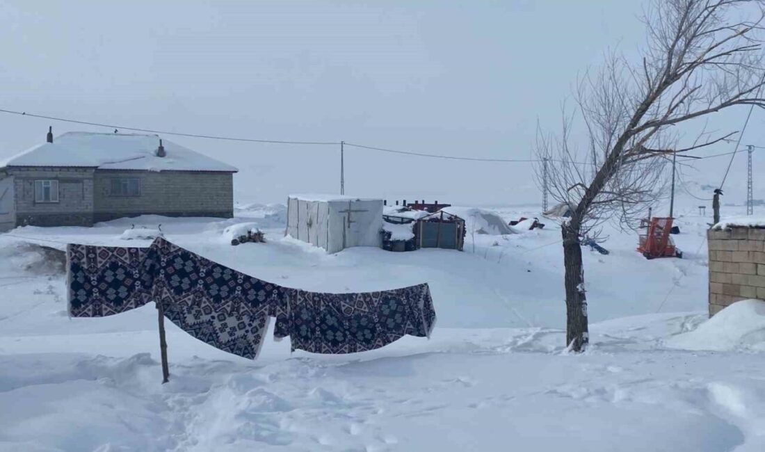 Ağrı’nın Patnos ilçesinin yüksek kesimlerinde ve köy yerleşim alanlarında kar