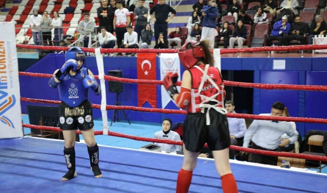 Ağrı’da düzenlenen Muay Thai Doğu Anadolu Bölge Şampiyonası, Merkez Spor
