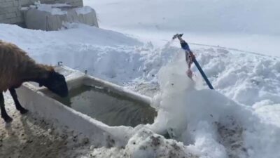 Ağrı’da dondurucu hava nedeniyle kent merkezinde ağaçlar ve bitkiler kırağı