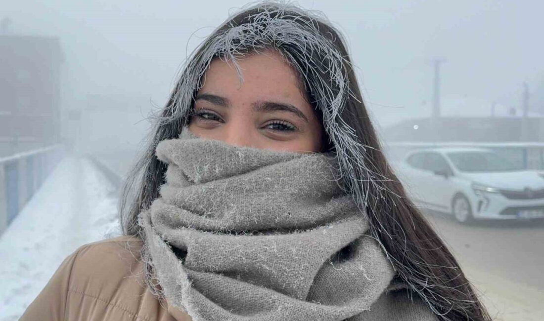 Ağrı’da etkili olan dondurucu soğuk hava hayatı olumsuz etkiledi. Gece