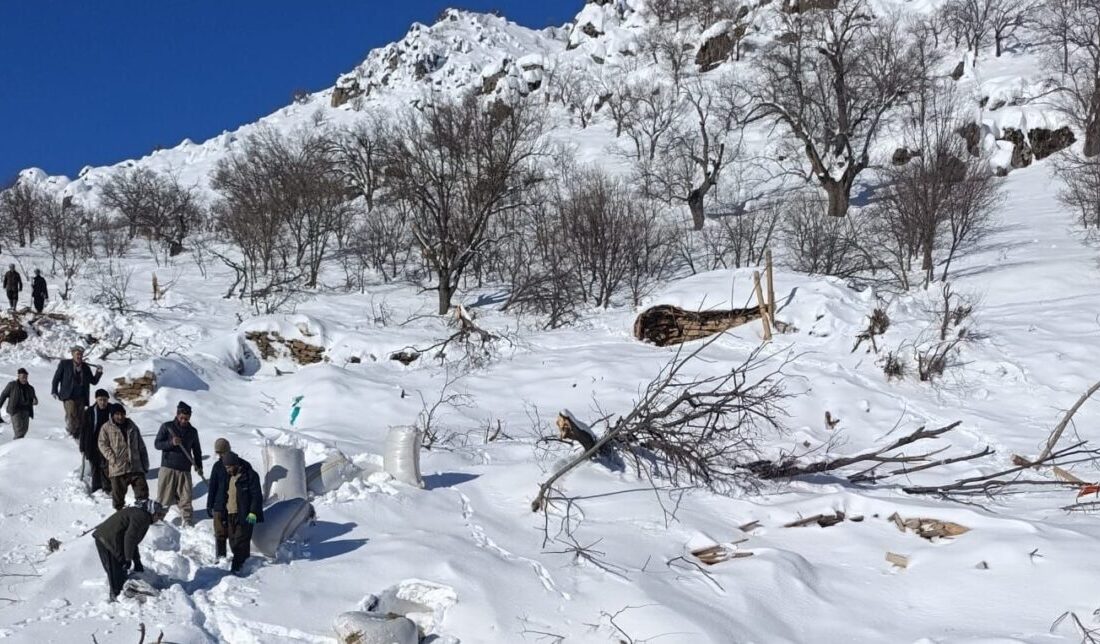 Hakkari’nin Çukurca ilçesine bağlı Taşbaşı köyünde ahırların üzerine çığ düşmesi