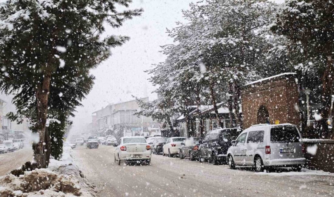 Meteoroloji Genel Müdürlüğü’nün uyarısını yaptığı kuvvetli kar yağışı, Bitlis’in Ahlat