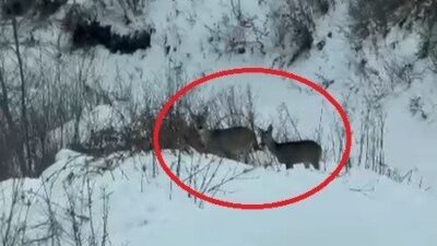 SAMSUN (İHA) – Samsun’un kış turizminin en önemli destinasyonlarından biri