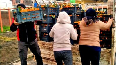 Çeşme Alaçatı Gıda Topluluğu, “Dalından Sofraya, El Birliğiyle Hatay’a” sloganıyla