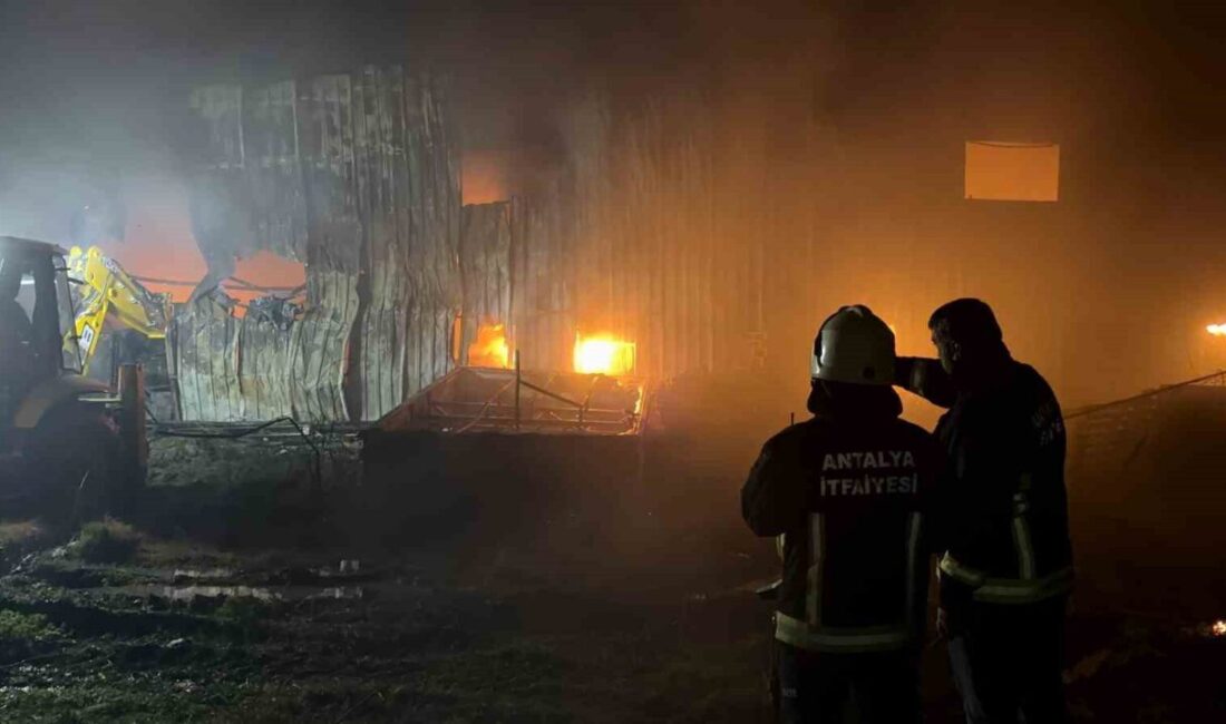Antalya’nın Alanya ilçesinde kuluçka malzemeleri ve klimaların bulunduğu depoda çıkan