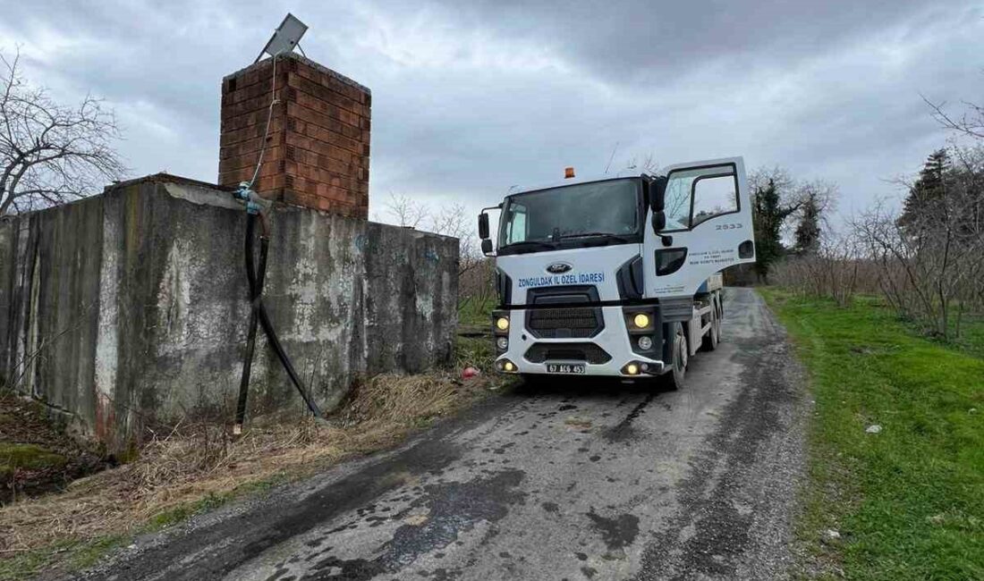 Zonguldak’ın Alaplı ilçesinde dere yatağına atılan ölü tavuklar nedeniyle 8