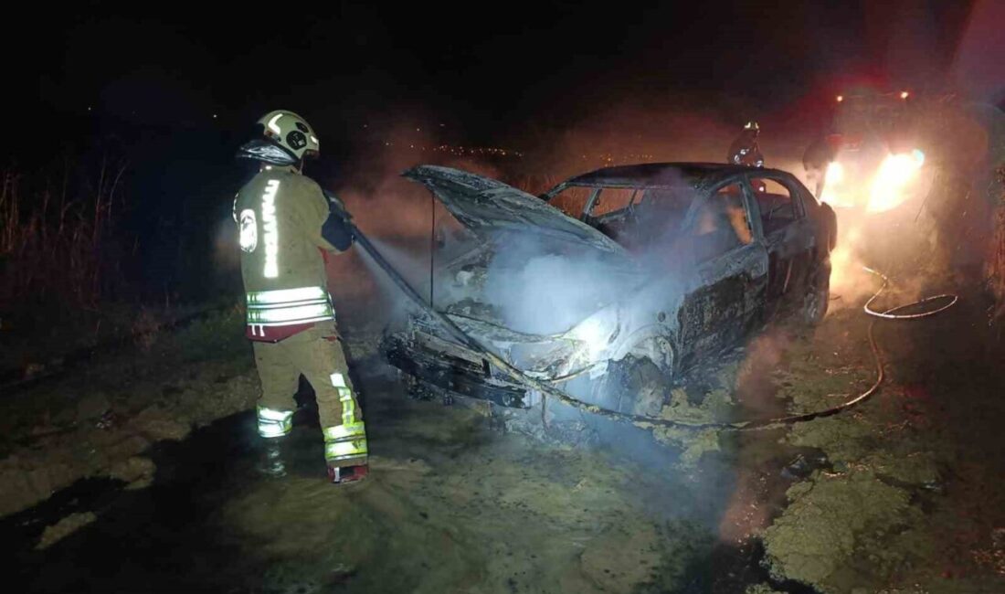 Hatay’da seyir halindeyken yanmaya başlayan otomobil alevlere teslim oldu. Yangında