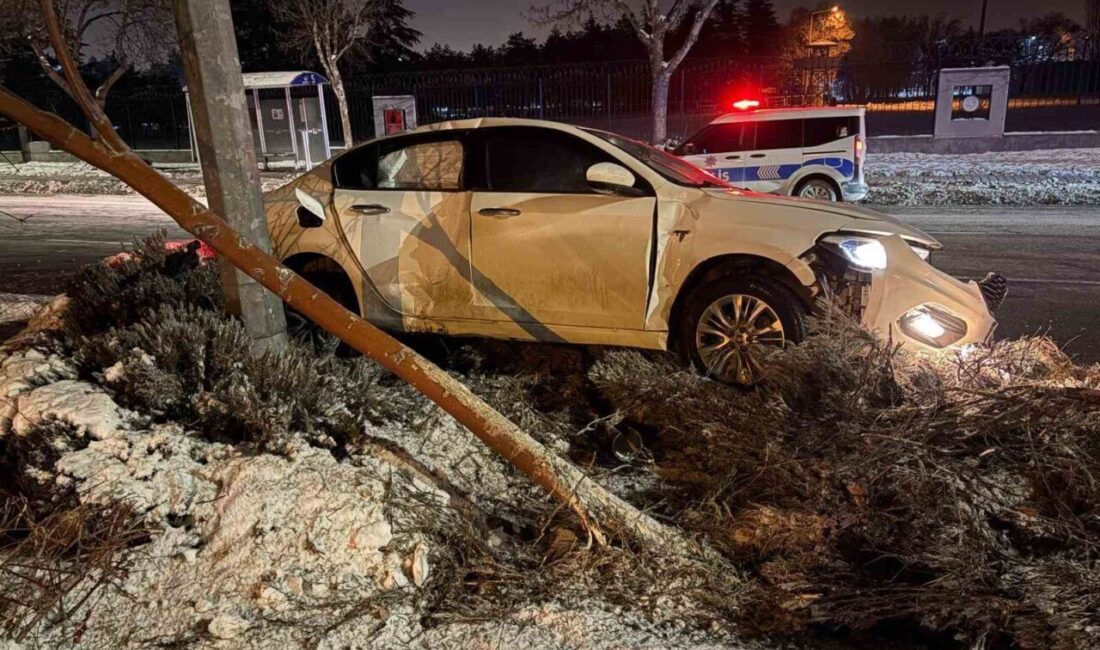 Kayseri’nin Melikgazi ilçesinde direksiyon hakimiyetini kaybeden sürücü önce refüjdeki ağacı