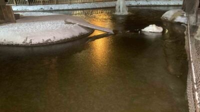 Ankara’da kar yağışının ardından hava sıcaklığı eksi 11 dereceye kadar