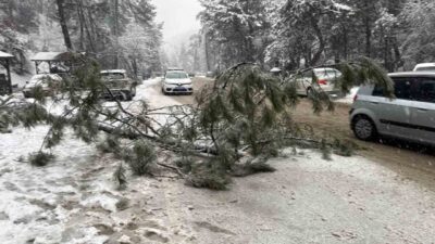Ankara’nın Kızılcahamam ilçesinde kar yağışı etkisini sürdürürken, Soğuksu Milli Parkı’nda