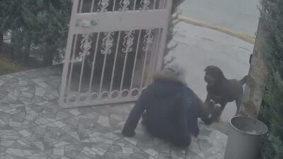 Ankara’da sahipsiz köpeklerin saldırısına uğrayan kadın, komşusunun duruma müdahale etmesiyle