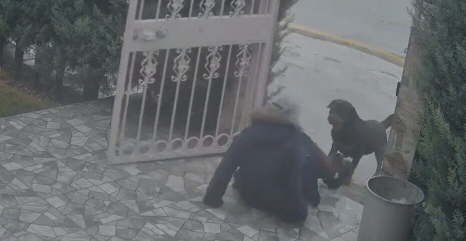 Ankara’da sahipsiz köpeklerin saldırısına uğrayan kadın, komşusunun duruma müdahale etmesiyle