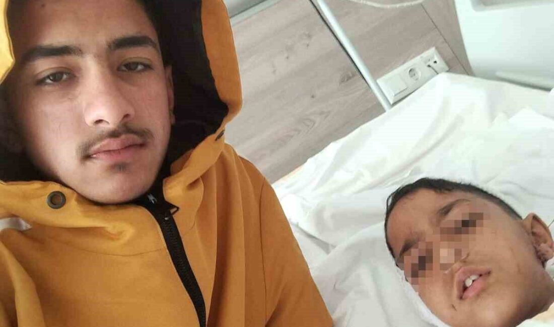 Ankara’nın Altındağ ilçesinde okuldan evine dönen bir çocuk, başıboş köpeğin