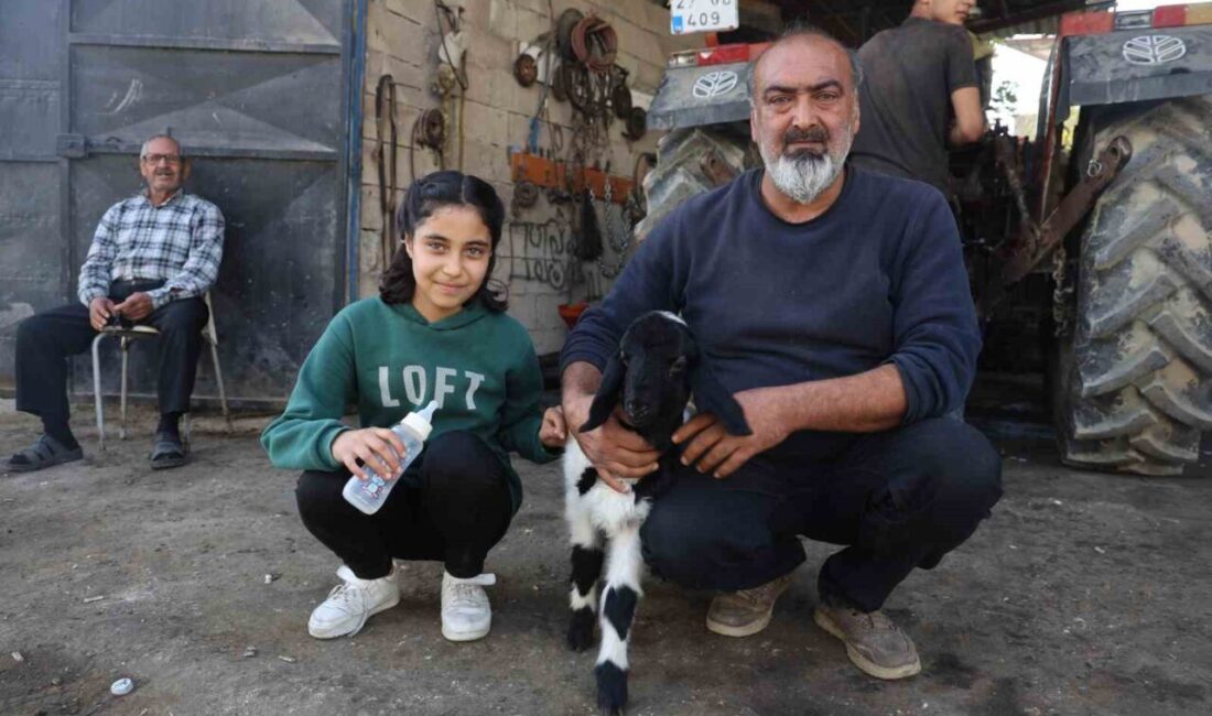 Hatay’da annesi telefon olan kuzuyu sahiplenen ve ’Karabaş’ ismini veren