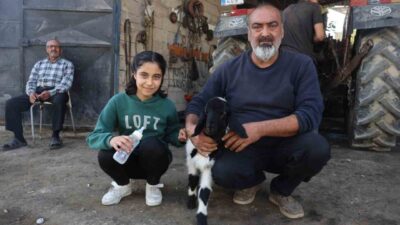 Hatay’da annesi telefon olan kuzuyu sahiplenen ve ’Karabaş’ ismini veren