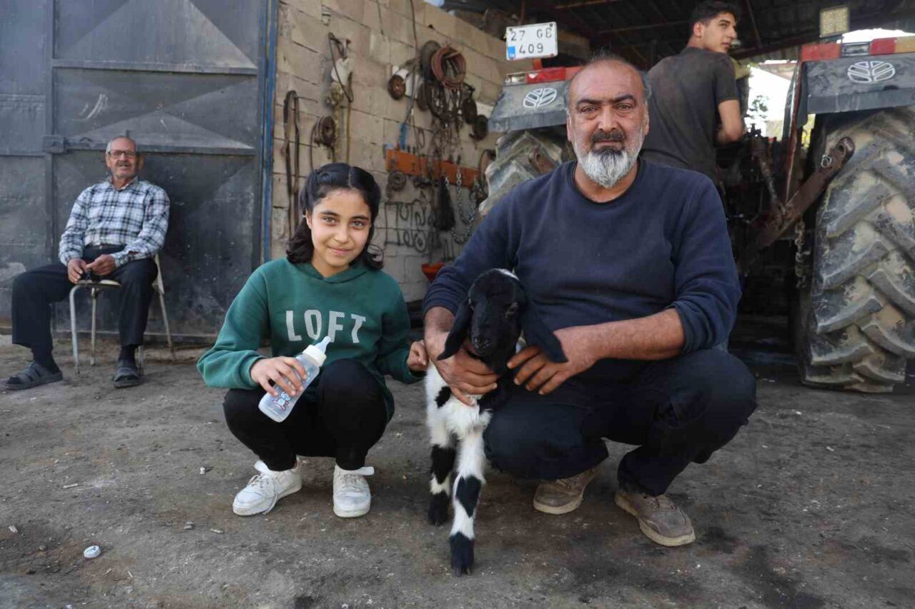 Hatay’da annesi telefon olan kuzuyu sahiplenen ve ’Karabaş’ ismini veren