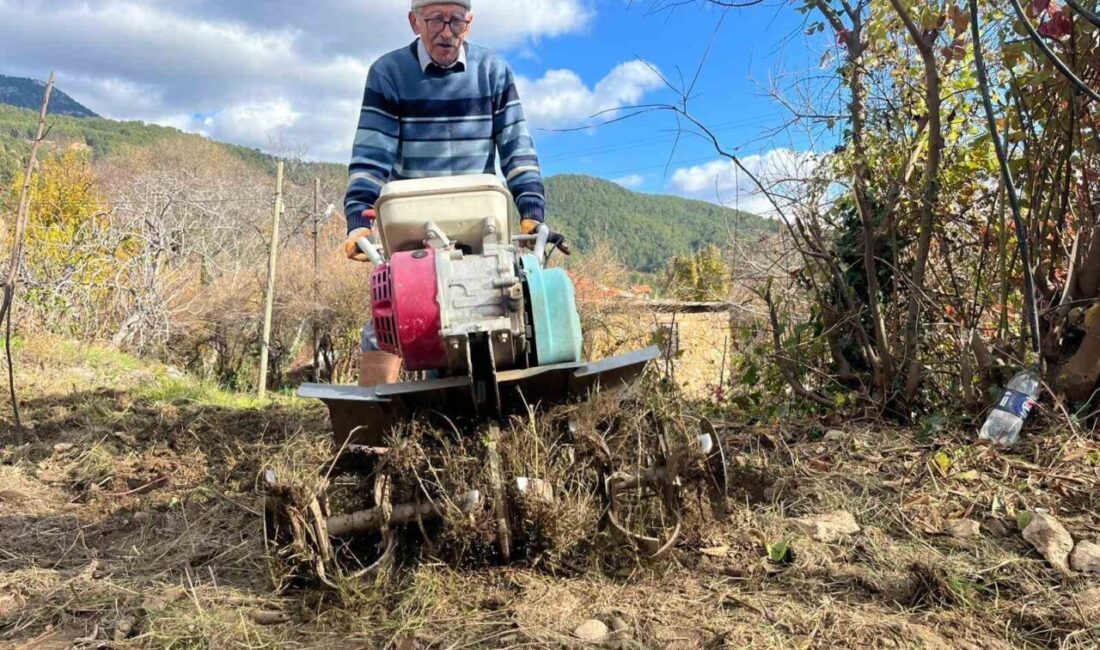 Antalya’nın Alanya ilçesinde yaşayan 82 yaşındaki yeminli mali müşavir, ilerleyen