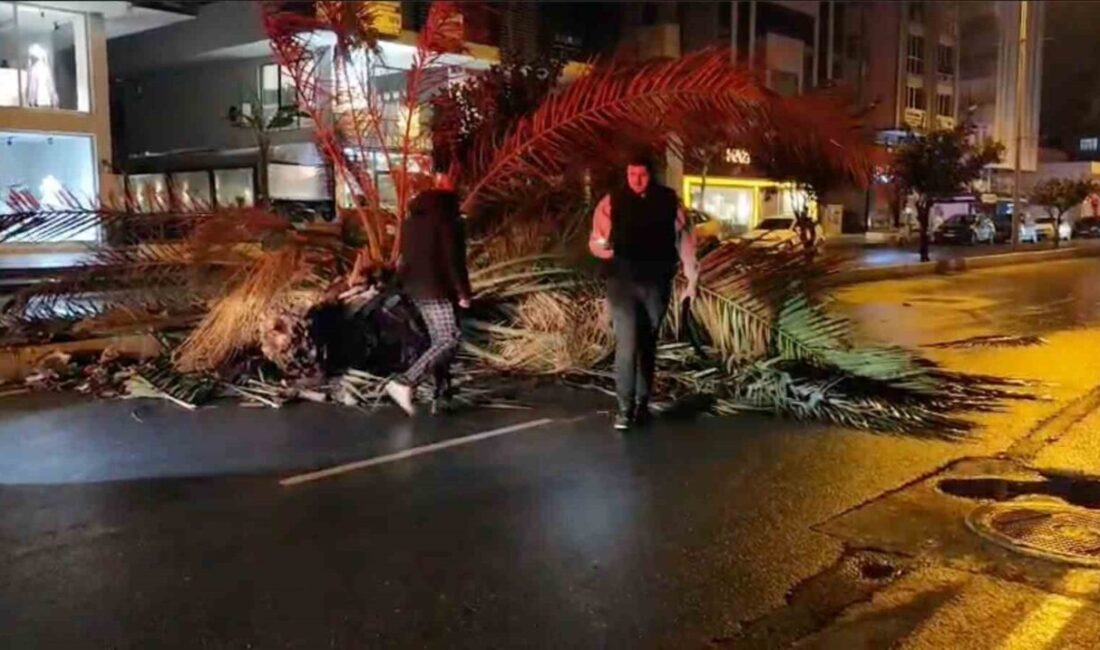 Antalya’nın Manavgat ilçesinde etkili olan fırtınanın etkisiyle refüjdeki ağaç ikiye