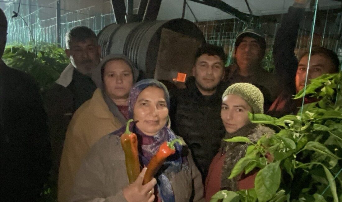 Antalya’da hava sıcaklıklarının gece saatlerinde düşmesiyle birlikte üreticiler, ürünlerini dondan