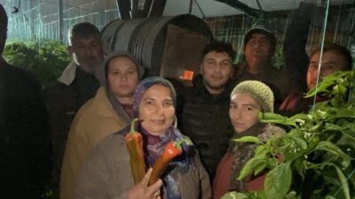 Antalya’da hava sıcaklıklarının gece saatlerinde düşmesiyle birlikte üreticiler, ürünlerini dondan