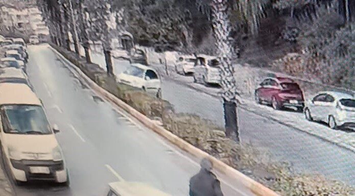 Antalya’nın Manavgat ilçesine virajı alamayan otomobilin orta refüjde bulunan palmiye