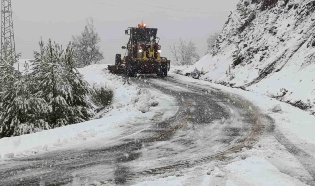 Antalya’nın yüksek kesimlerinde etkili olan kar yağışı hayatı olumsuz etkiliyor.