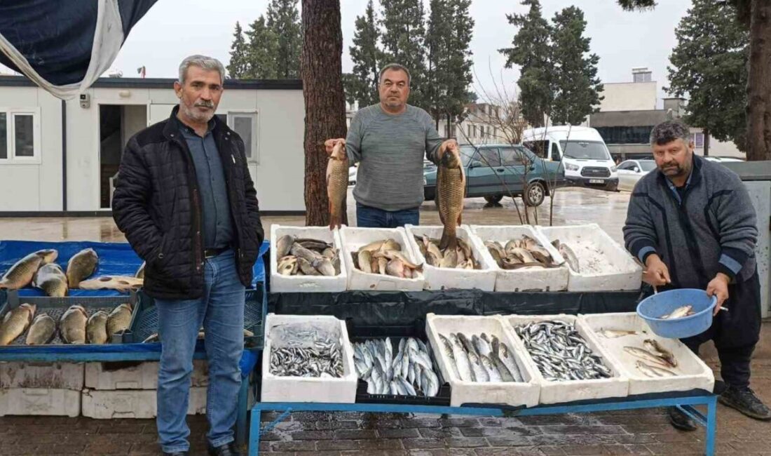 Gaziantep’in Araban ilçesinde havaların soğumasıyla birlikte balığa olan ilgi arttı.