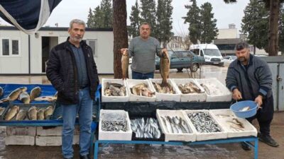 Gaziantep’in Araban ilçesinde havaların soğumasıyla birlikte balığa olan ilgi arttı.