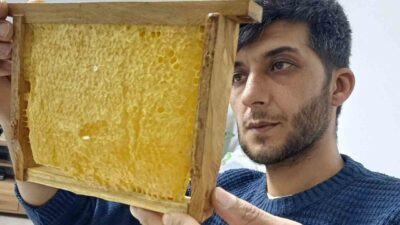 Gaziantep’in Araban ilçesinde doğal ve organik olarak üretilen bal yoğun