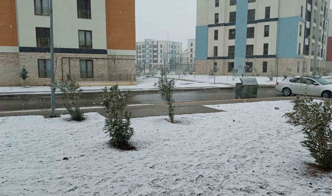 Gaziantep’in Araban ilçesinde kuraklık korkusu yaşayan çiftçiler, öğle saatlerinde başlayan