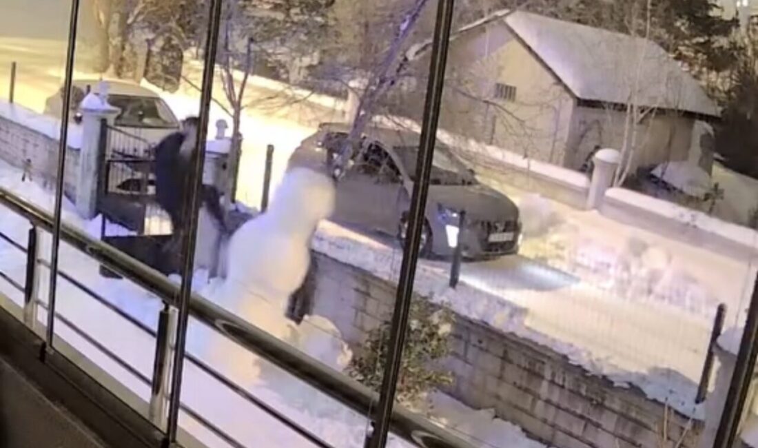 Elazığ’da kardan adamların şahıslar tarafından yıkılma anları güvenlik kameralarına yansıdı.
