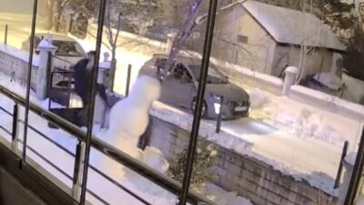 Elazığ’da kardan adamların şahıslar tarafından yıkılma anları güvenlik kameralarına yansıdı.