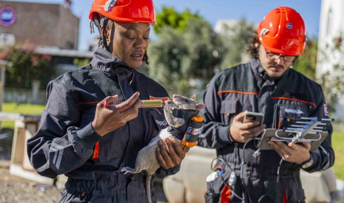 Türkiye’de ilk kez Muratpaşa Belediyesi ile GEA Arama Kurtarma Derneği