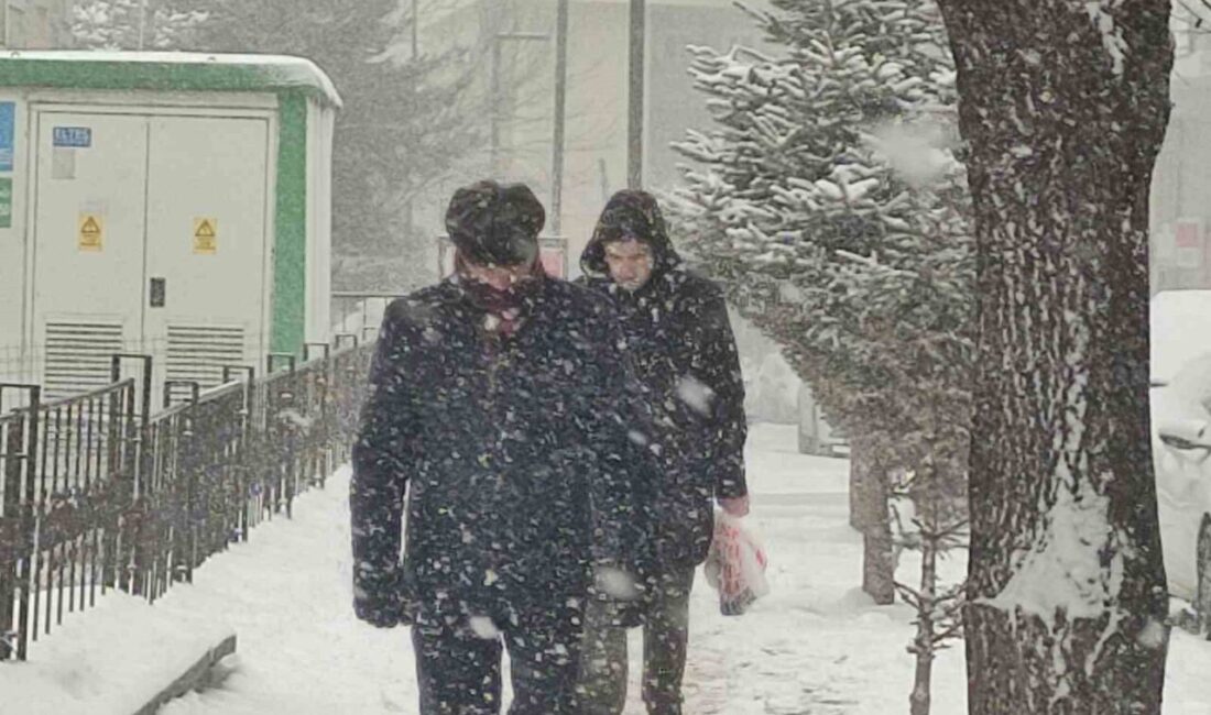 Ardahan’da yoğun kar yağışı ve tipi, birçok köy yolunu ulaşıma