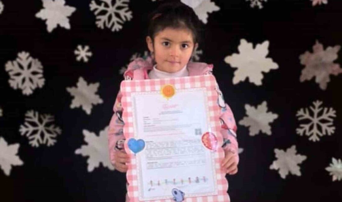 Ardahan’da 14 bin 201 öğrenci karnelerini alarak yarıyıl tatiline girdi.