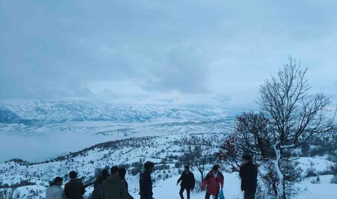 Elazığ’ın Arıcak ilçesinde yoğun kar yağışı nedeniyle yiyecek bulmakta zorlanan