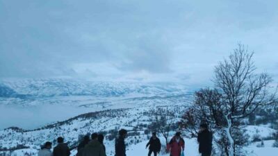 Elazığ’ın Arıcak ilçesinde yoğun kar yağışı nedeniyle yiyecek bulmakta zorlanan