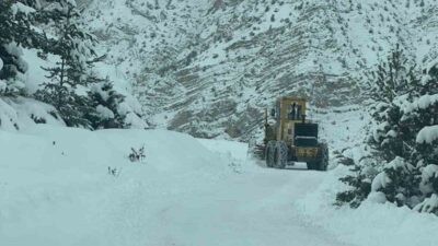 Artvin’de kar yağışı nedeniyle kapalı olan 43 köy yolunu ulaşıma