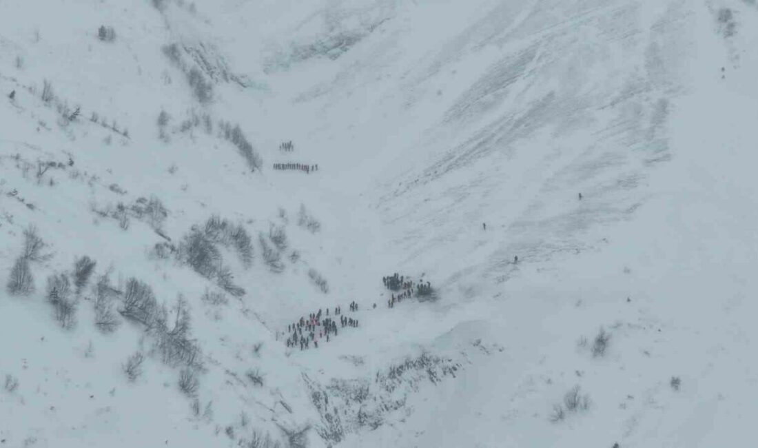 Artvin’in Ardanuç ilçesine bağlı Zekeriya köyünde çığ altında kalan çobanları