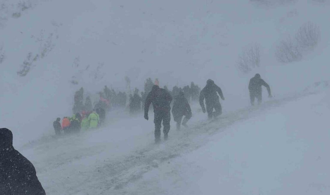 Artvin’de çığ altında kalan çobanı arama ve kurtarma çalışmalarının 3.