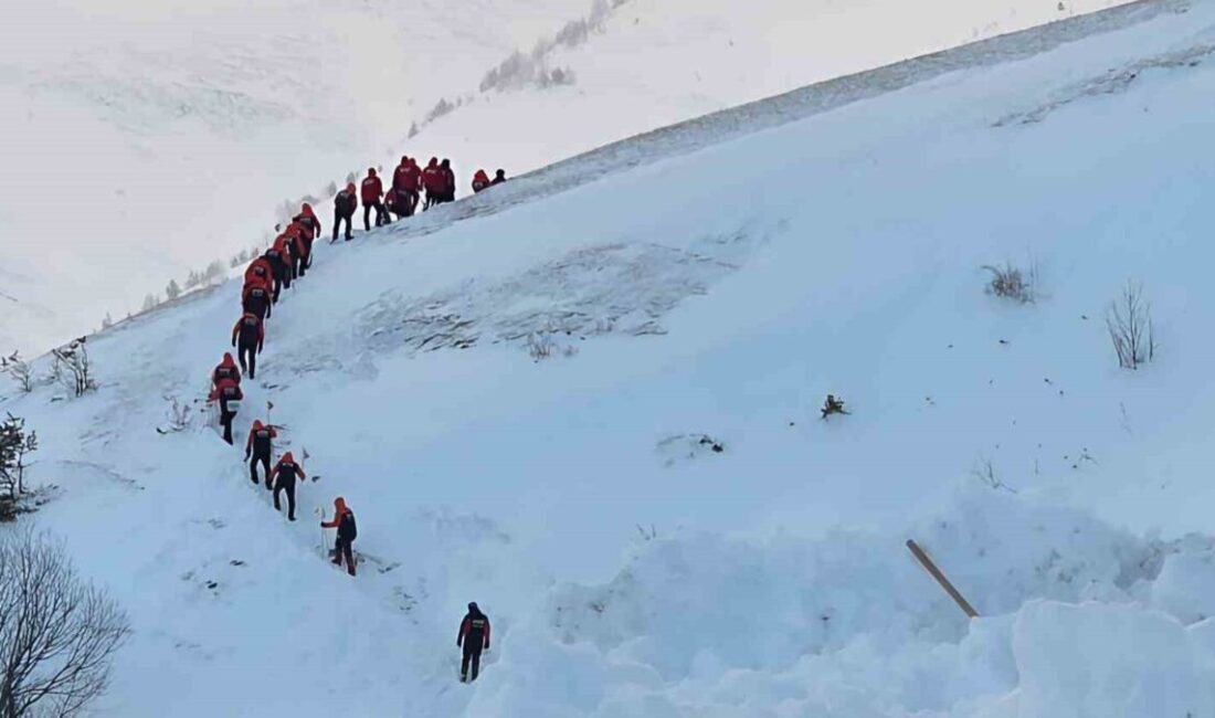 Artvin’de 31 Aralık Çarşamba günü yaşanan çığ felaketinde kar altında