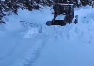 Artvin genelinde etkisini sürdüren kar yağışı nedeniyle 130 köy yolunda