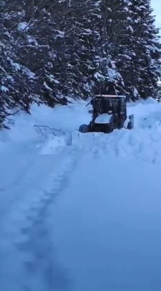 Artvin genelinde etkisini sürdüren kar yağışı nedeniyle 130 köy yolunda