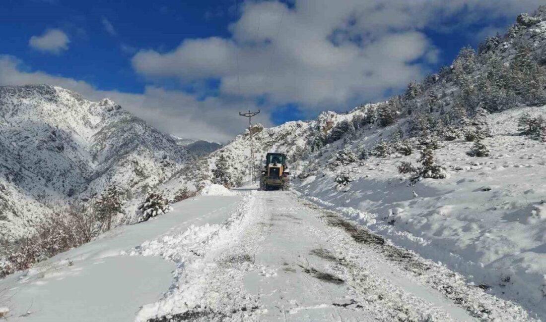 Artvin’de yeniden etkisini gösteren kar yağışı, yüksek kesimlerde ulaşımı olumsuz