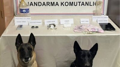 Artvin İl Jandarma Komutanlığı ekiplerince, uyuşturucu madde imal ve ticaretinin