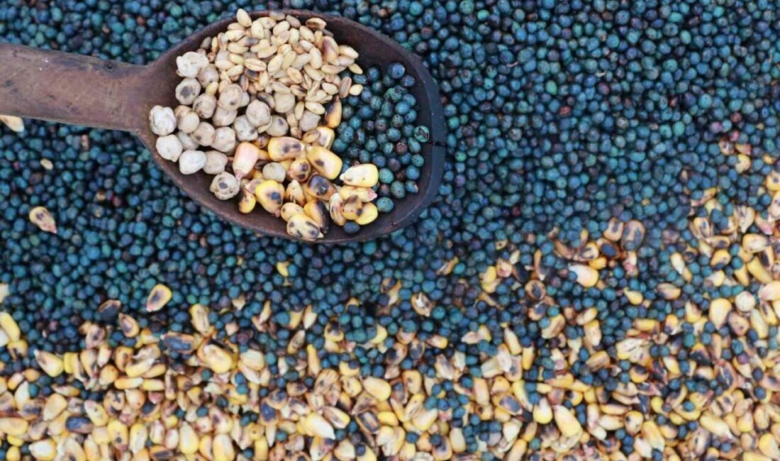 Konya’nın Hadim ilçesinde, Türk mutfağının binlerce yıllık lezzetlerinden biri olan